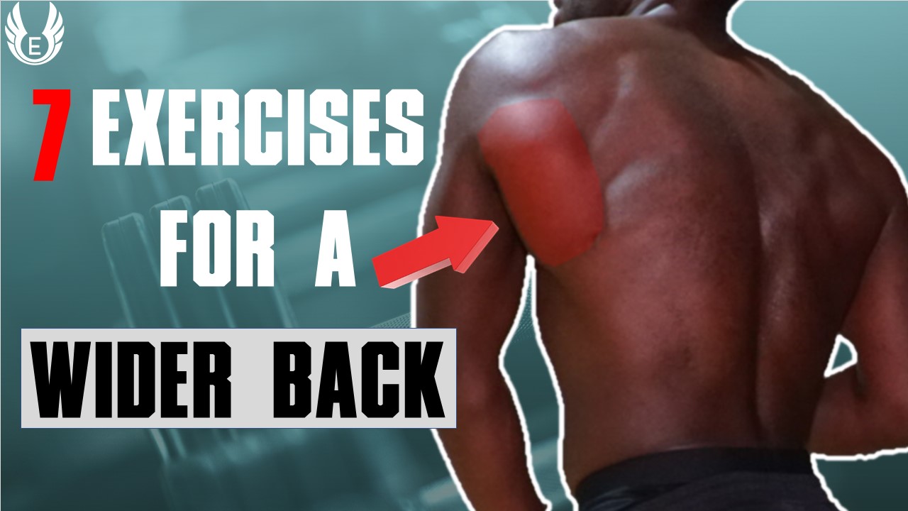 https://www.elitehealthandphysique.com/wp-content/uploads/2021/09/7-best-wide-back-exercises-to-add-to-your-back-workout.jpg